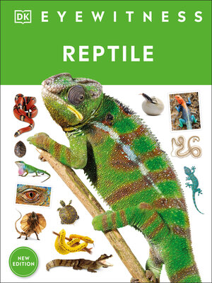 cover image of Reptile
